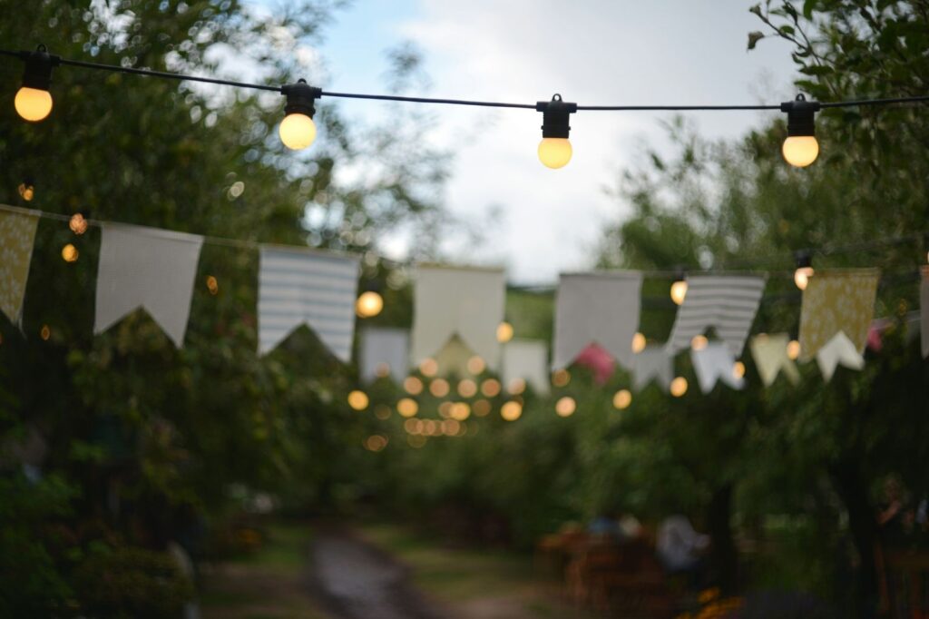 Fairy lights and bunting strung between trees at an early-evening garden party